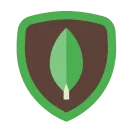 MongoDB